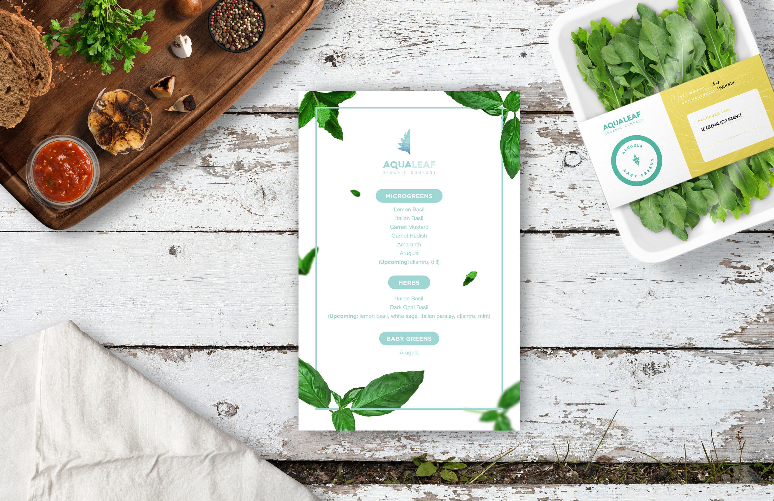 Flyer--mockup.jpg