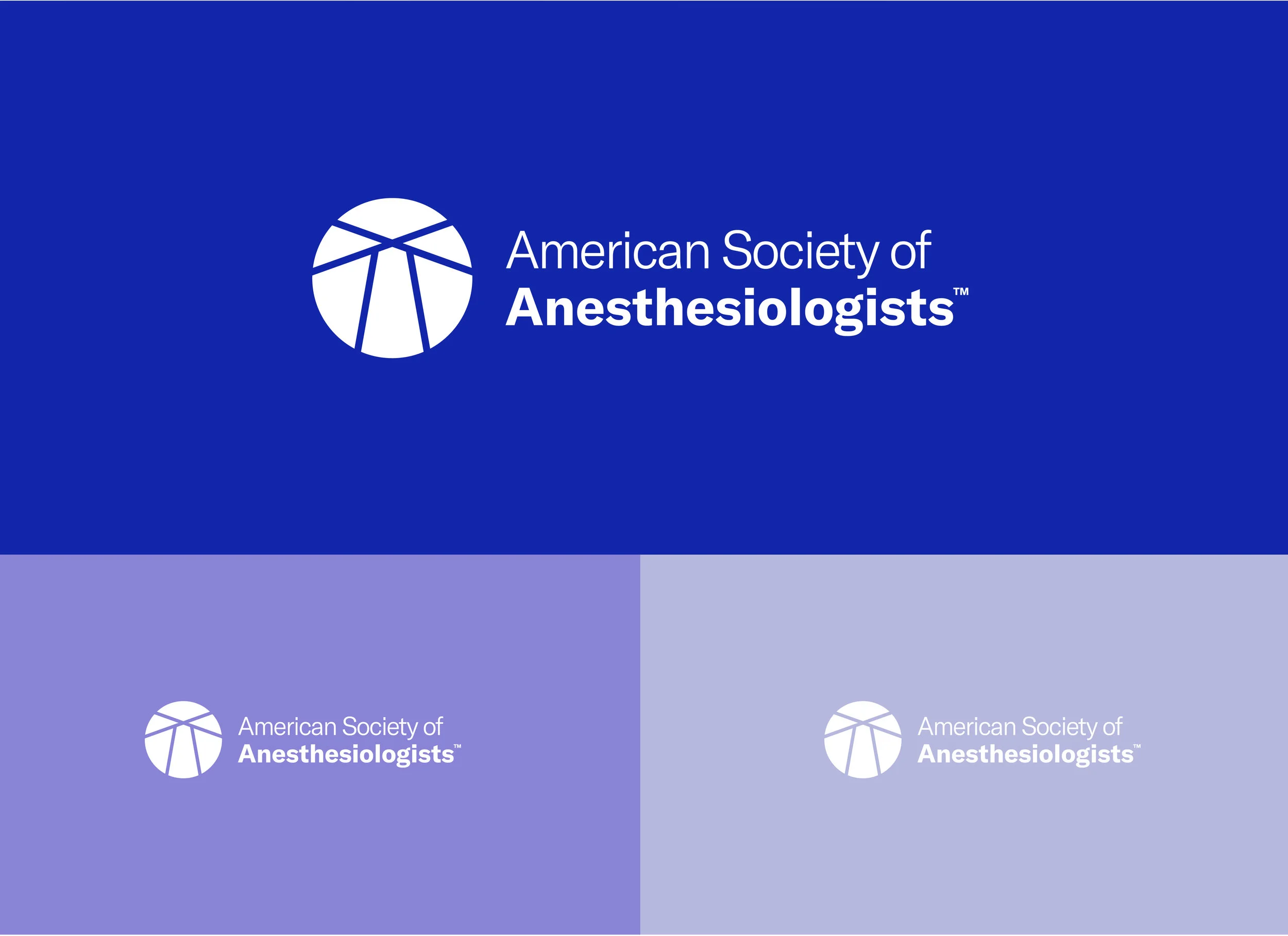 ASA case study sliced4.jpg