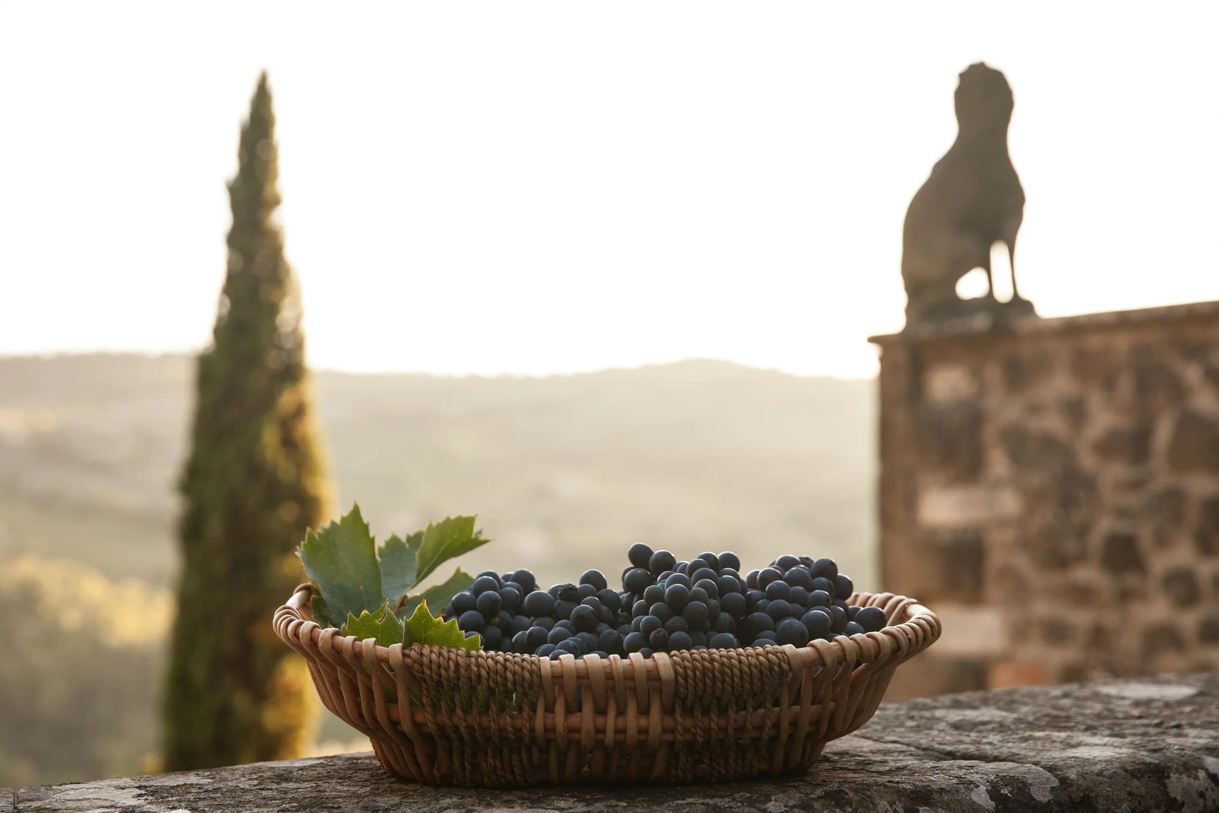 110_GoogleFirenze_Day3.jpg