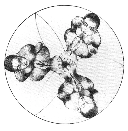 grafica lito 2.jpg