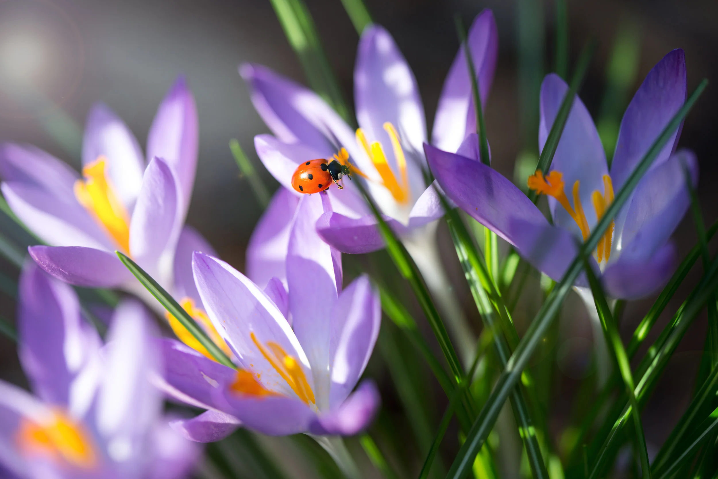 shutterstock_376169845.jpg