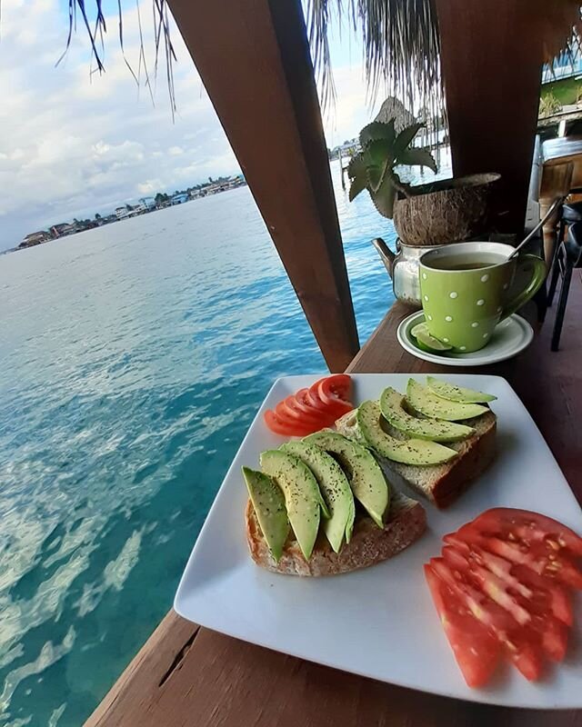 Avocados! 🥑 The good kinda fat! 😁
We have beautiful avocados for sale! Come for breakfast or lunch and add avocado to anything on the menu &hearts;️
#avocados #avocadotoast #breackfast #lunch #goodfood #greentea #healthylifestyle #overthewater #caf