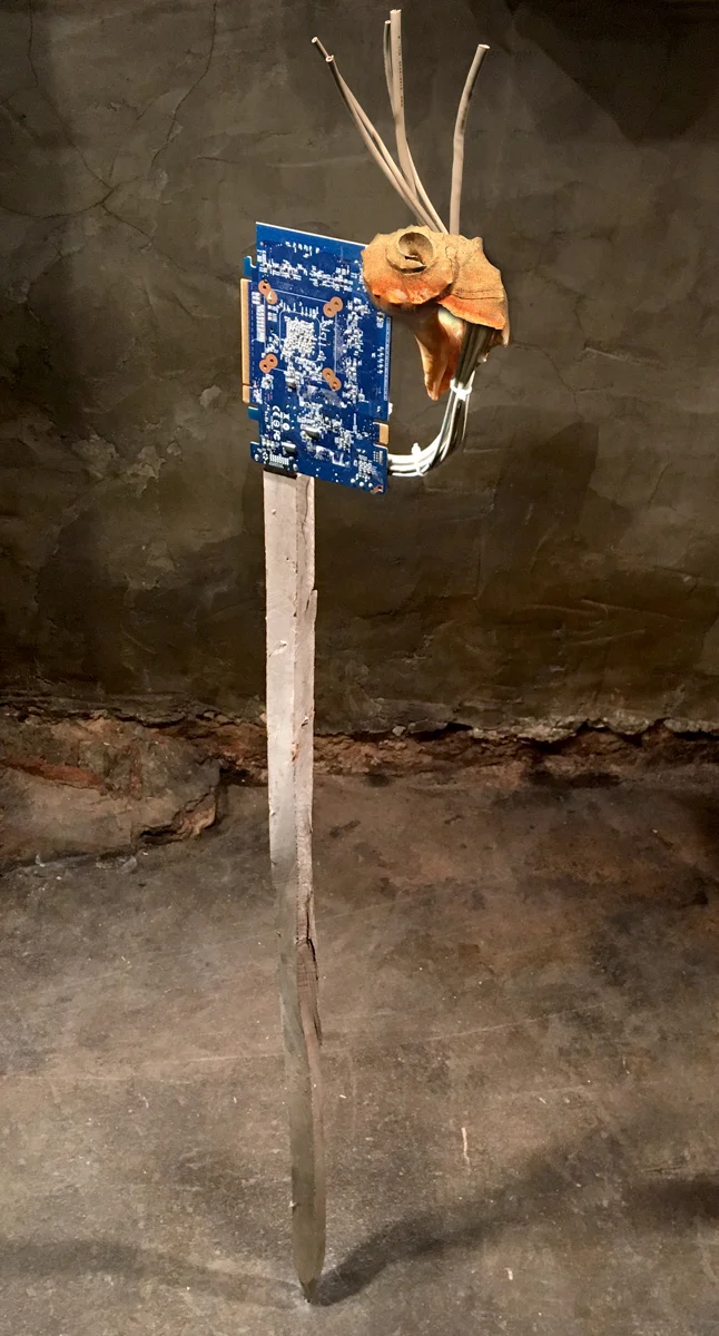 Daria Irincheeva © 2015/2016 , Zero Echo . Wood, motherboard, shell, wires, epoxy, plastic, metal . Dimensions variable. Courtesy of the artist.