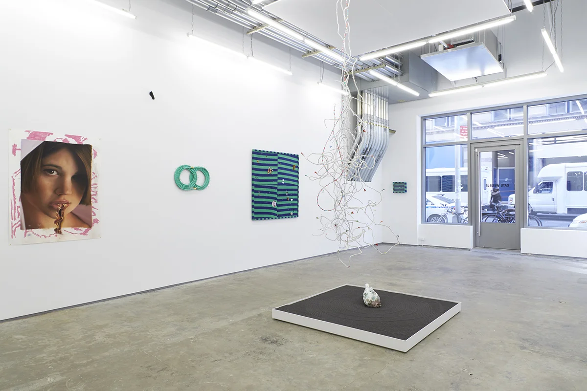 Brock Enright © 2016 , Sugar Computer/Electrocate . Installation view at Kate Werble Gallery, New York. Photo by Elisabeth Bernstein. Courtesy of the Artist and Kate Werble Gallery, New York. 