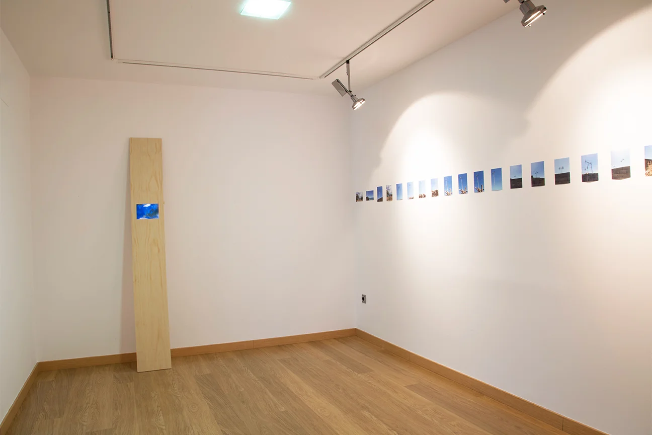 DARIA IRINCHEEVA © 2016 Anthropocene Markers. ESPERANZA MAYOBRE. © 2016 Antenas de golindano . I NSTALLATION VIEW. EXHIBITION AT MUSEO CENTRO DE ARTE PEPE ESPALIÚ