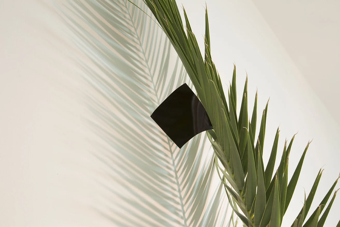 JAVIER ARCE © 2016, MICROPOLITICAS. ( detail ) EXHIBITION AT MUSEO CENTRO DE ARTE PEPE ESPALIÚ