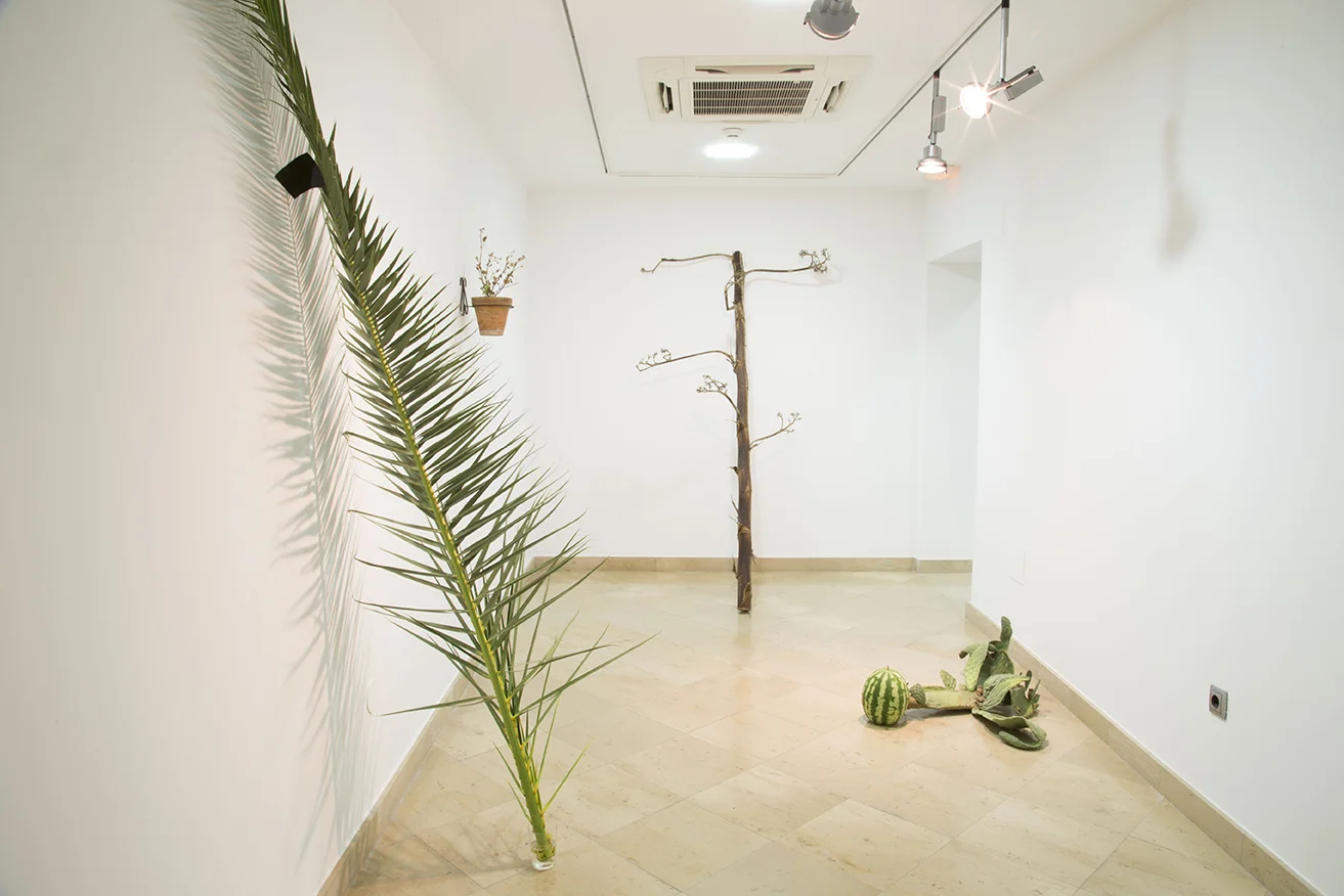JAVIER ARCE © 2016, MICROPOLÍTICA. I NSTALLATION VIEW. EXHIBITION AT MUSEO CENTRO DE ARTE PEPE ESPALIÚ