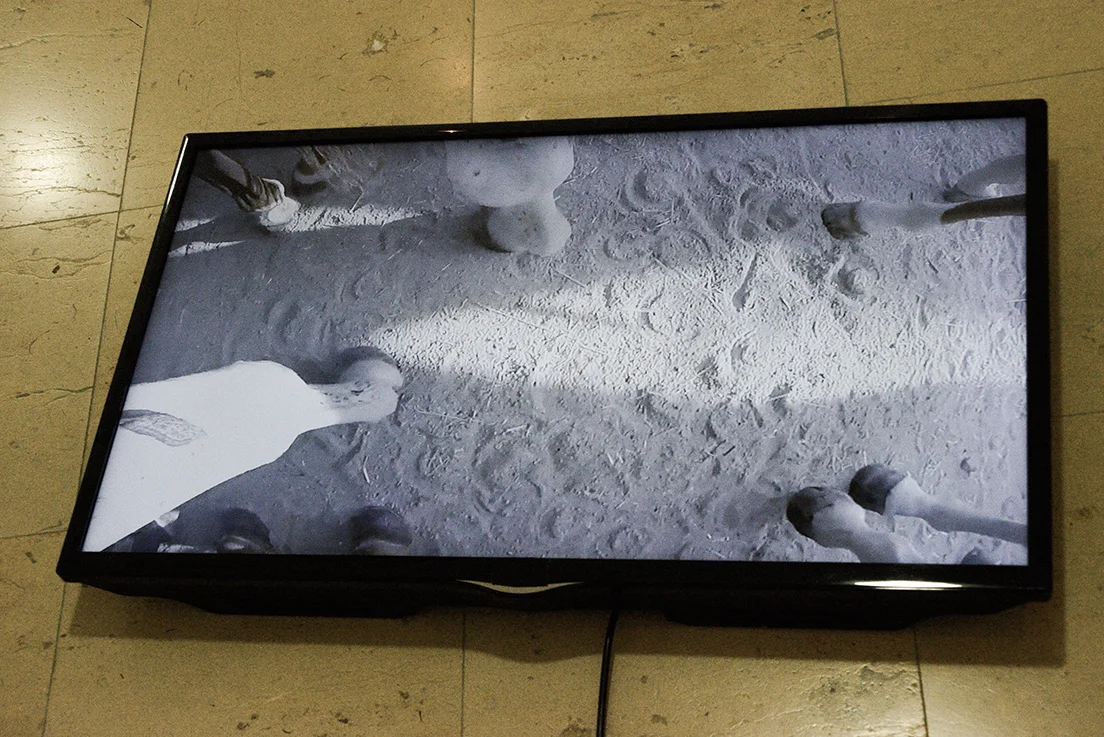 CAROLINA SAQUEL © 2016, “untitled (rushes de Antonio / Ardia 2014)” EXHIBITION AT MUSEO CENTRO DE ARTE PEPE ESPALIÚ
