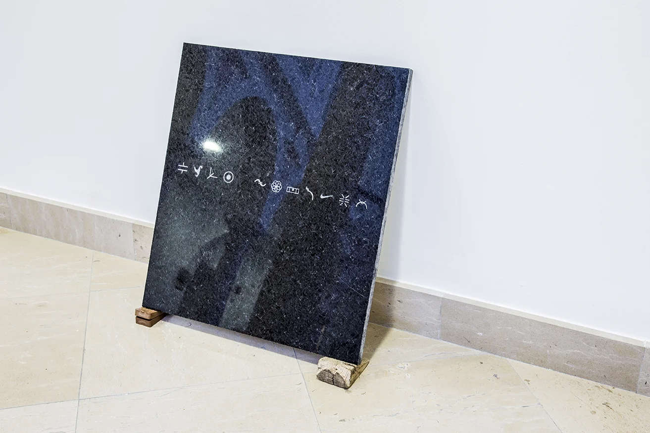 SANTIAGO REYES VILLAVECES © 2016, Repertory (ideograms). EXHIBITION AT MUSEO CENTRO DE ARTE PEPE ESPALIÚ