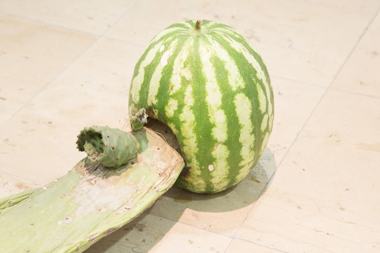 JAVIER ARCE © 2016, MICROPOLITICAS ( DETAIL ) EXHIBITION AT MUSEO CENTRO DE ARTE PEPE ESPALIÚ