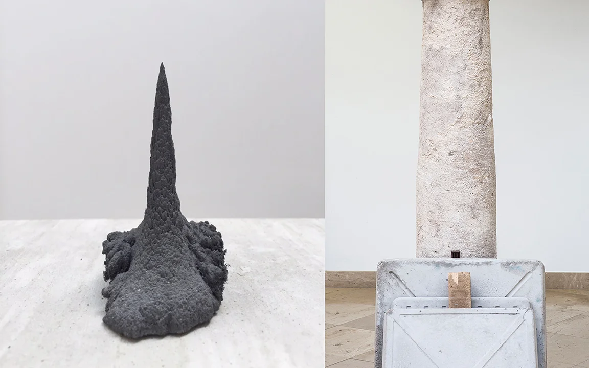 PABLO JANSANA © 2016, PATA DE GALLO ( IRON ) PABLO JANSANA - SANTIAGO REYES VILLAVECES © 2016 UNTITLED. EXHIBITION AT MUSEO CENTRO DE ARTE PEPE ESPALIÚ
