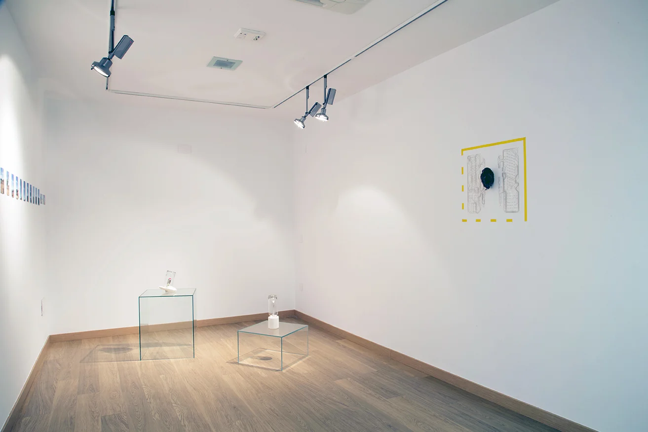 Esperanza mayobre. brock enright. daria irincheeva © 2016, EXHIBITION AT MUSEO CENTRO DE ARTE PEPE ESPALIÚ