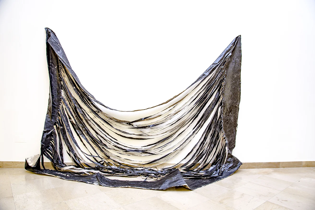 PABLO JANSANA © 2016, EXHIBITION AT MUSEO CENTRO DE ARTE PEPE ESPALIÚ