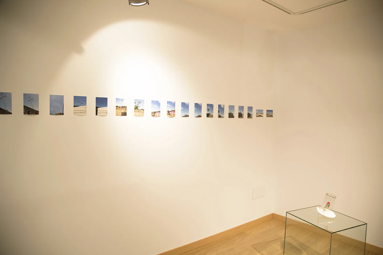 ESPERANZA MAYOBRE. BROCK ENRIGHT © 2016, EXHIBITION AT MUSEO CENTRO DE ARTE PEPE ESPALIÚ