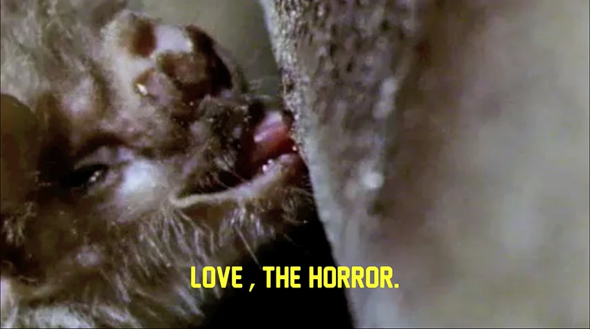 BALAM BARTOLOME © 2016, VIDEO STILL “HORROR”. EXHIBITION AT MUSEO CENTRO DE ARTE PEPE ESPALIÚ