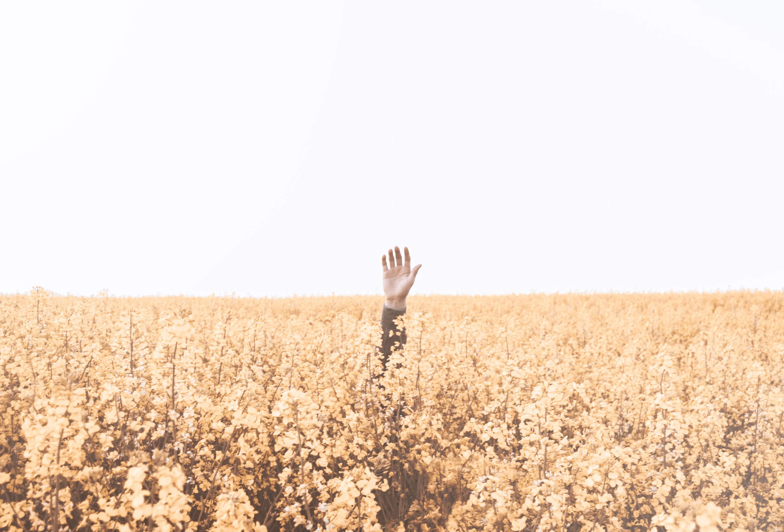 Reflect: Is your Mind-Emotions Serving You Well?