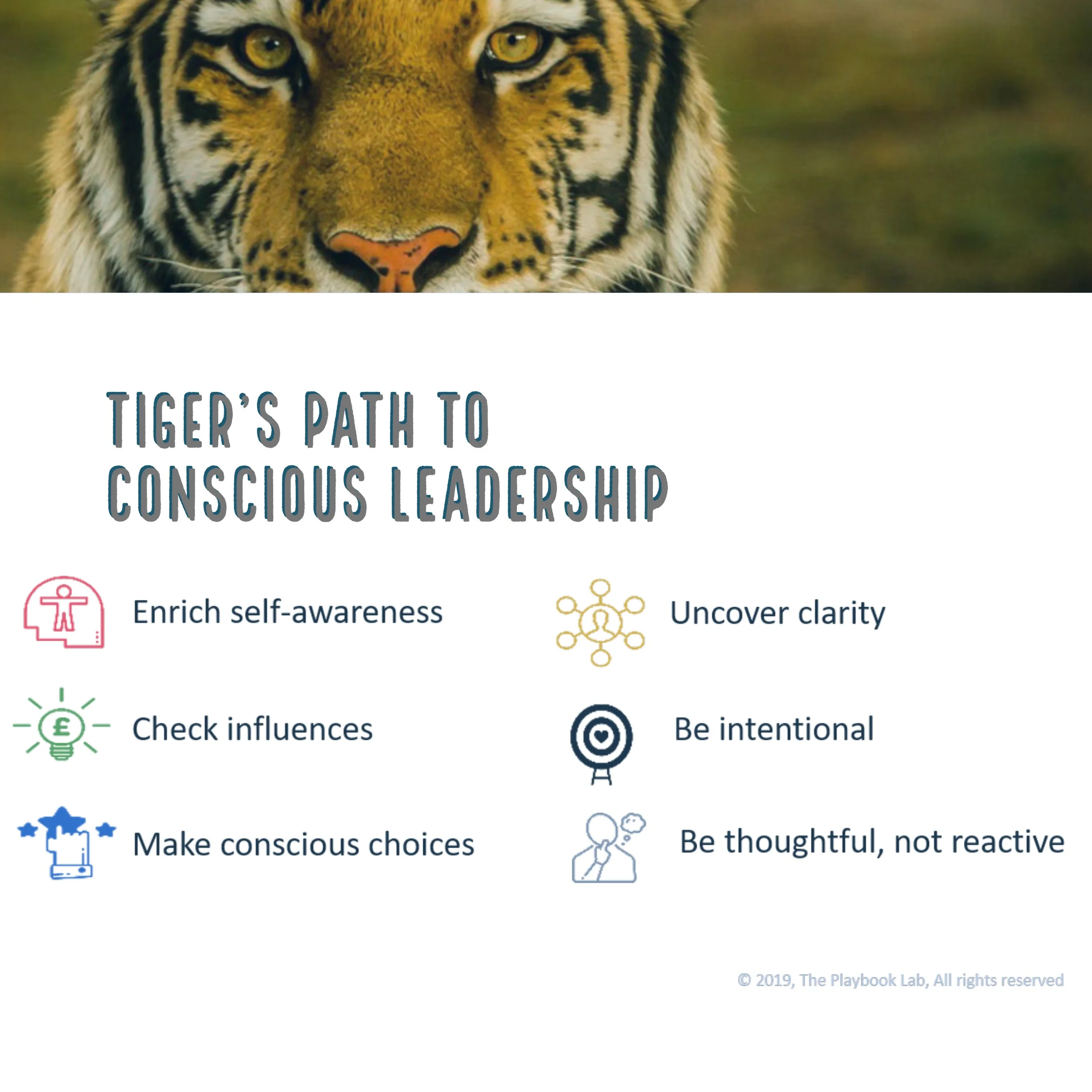 Tiger's Conscious Leadership 3.jpg
