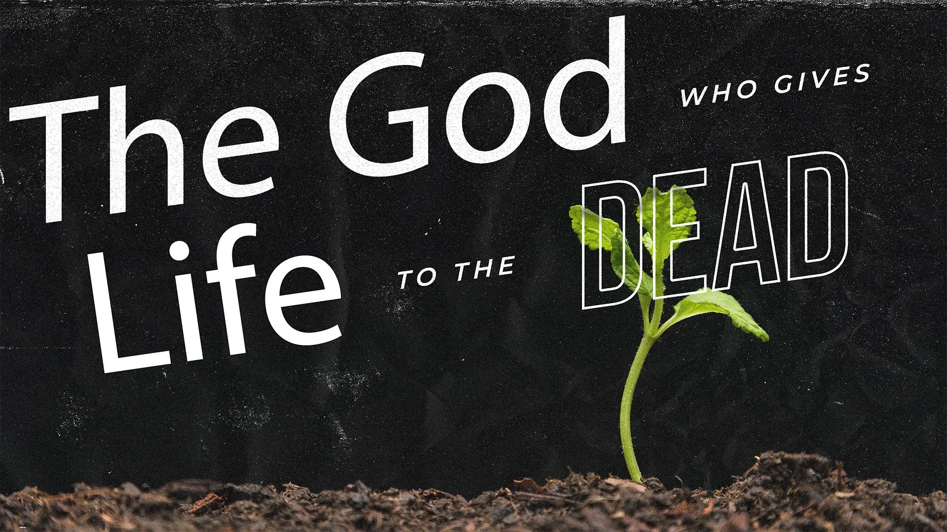 The God Who Brings Life to the Dead - Scott Volk