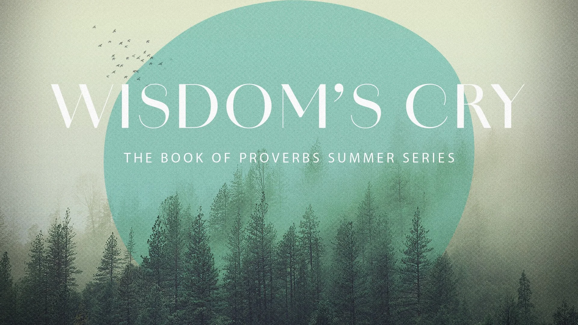 Wisdom’s Cry Part VIII