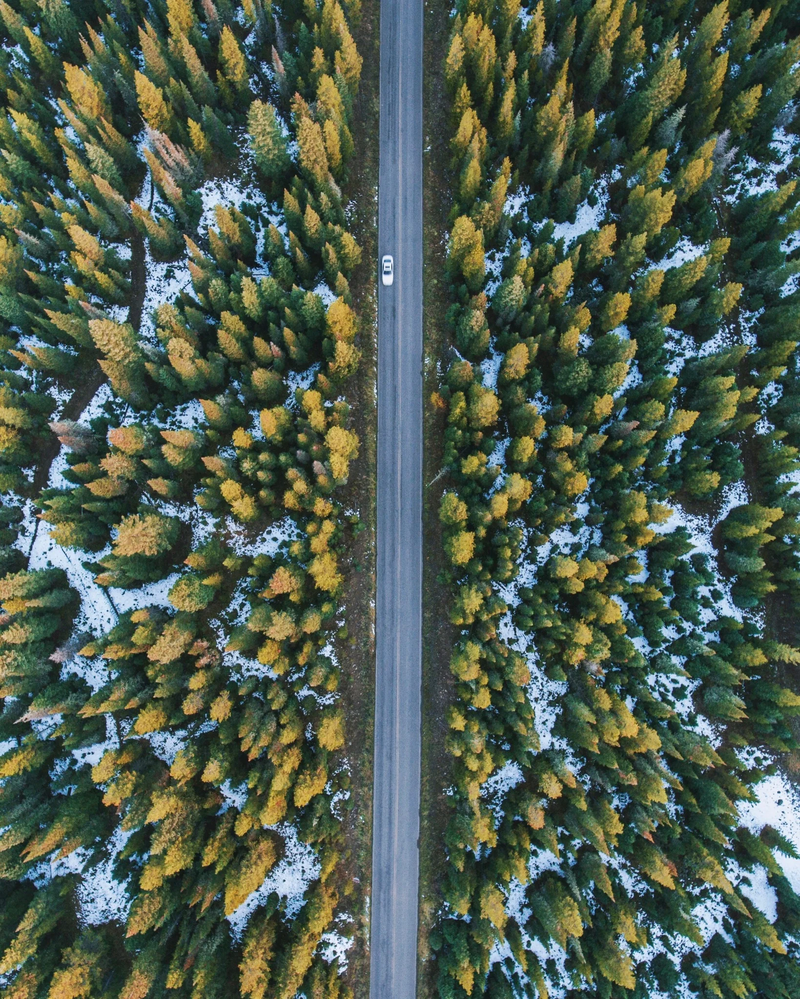 Exploring the World from Above: Dirk Dallas’ Drone Photography