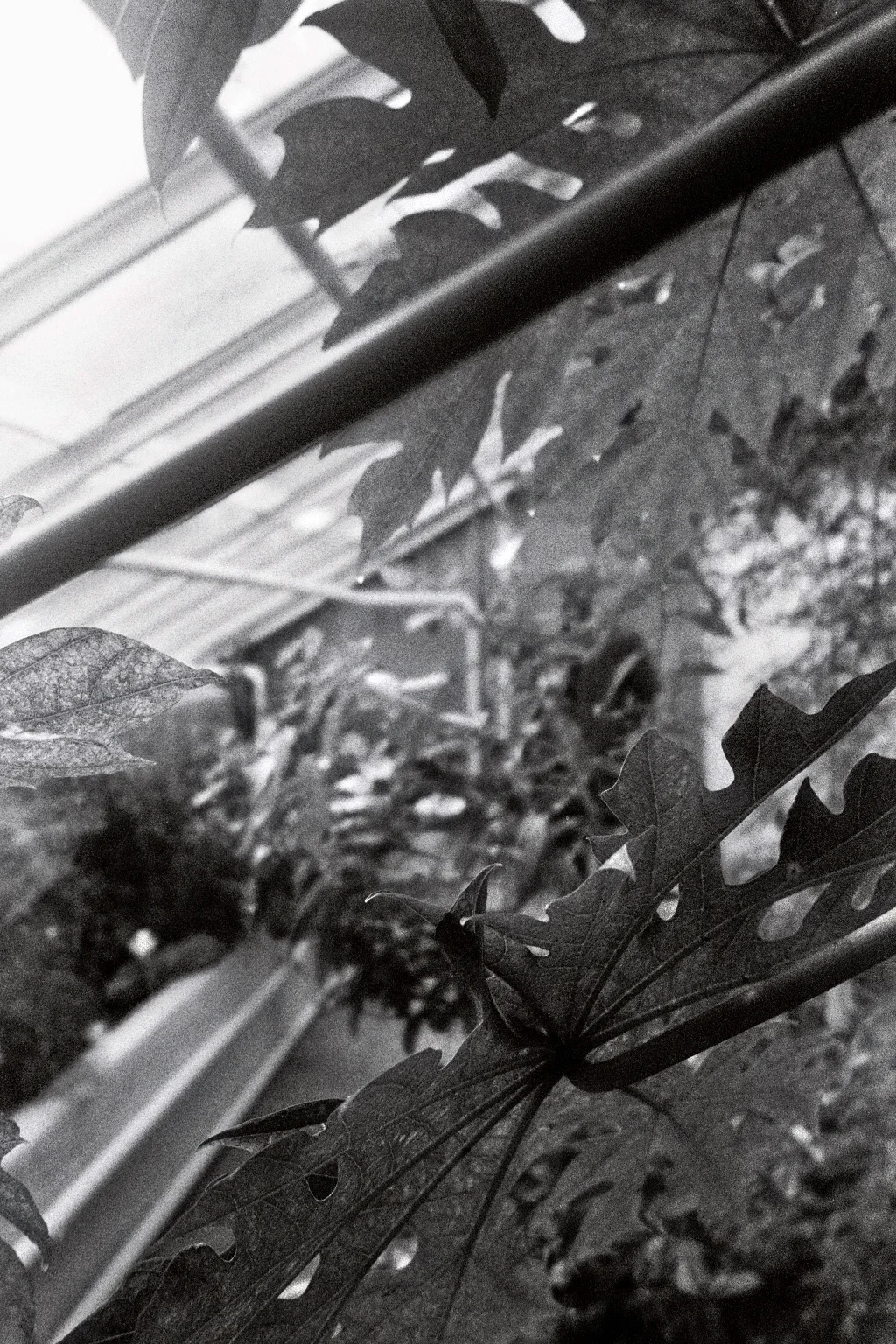 imm014_14.jpg