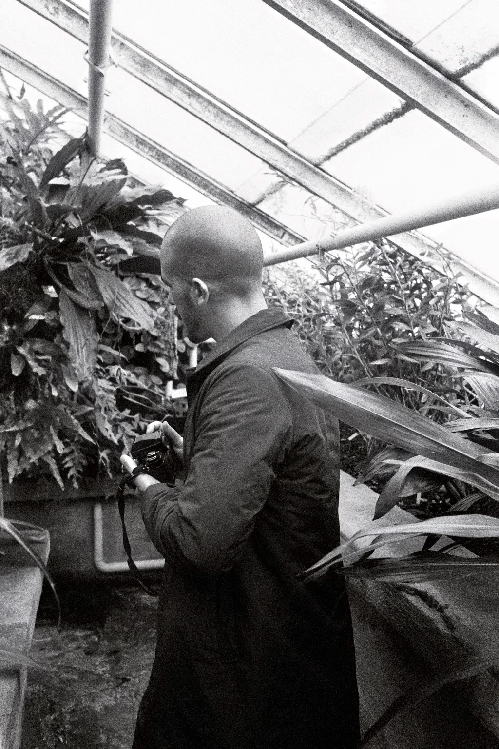 imm017_17.jpg