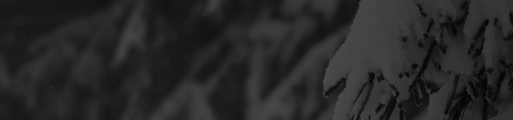 headertexture_C.jpg