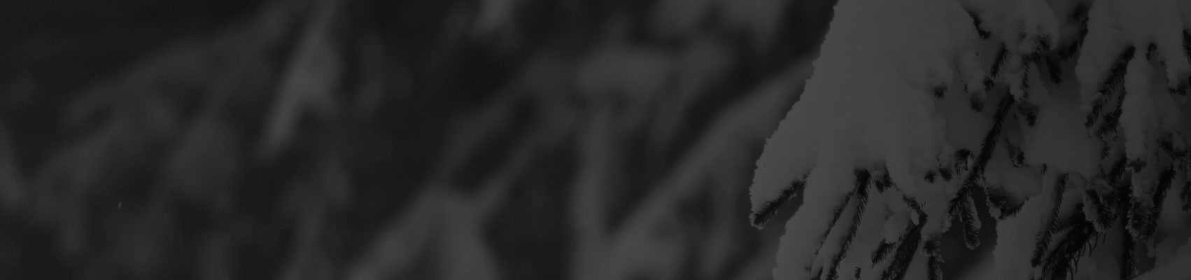 headertexture_C.jpg