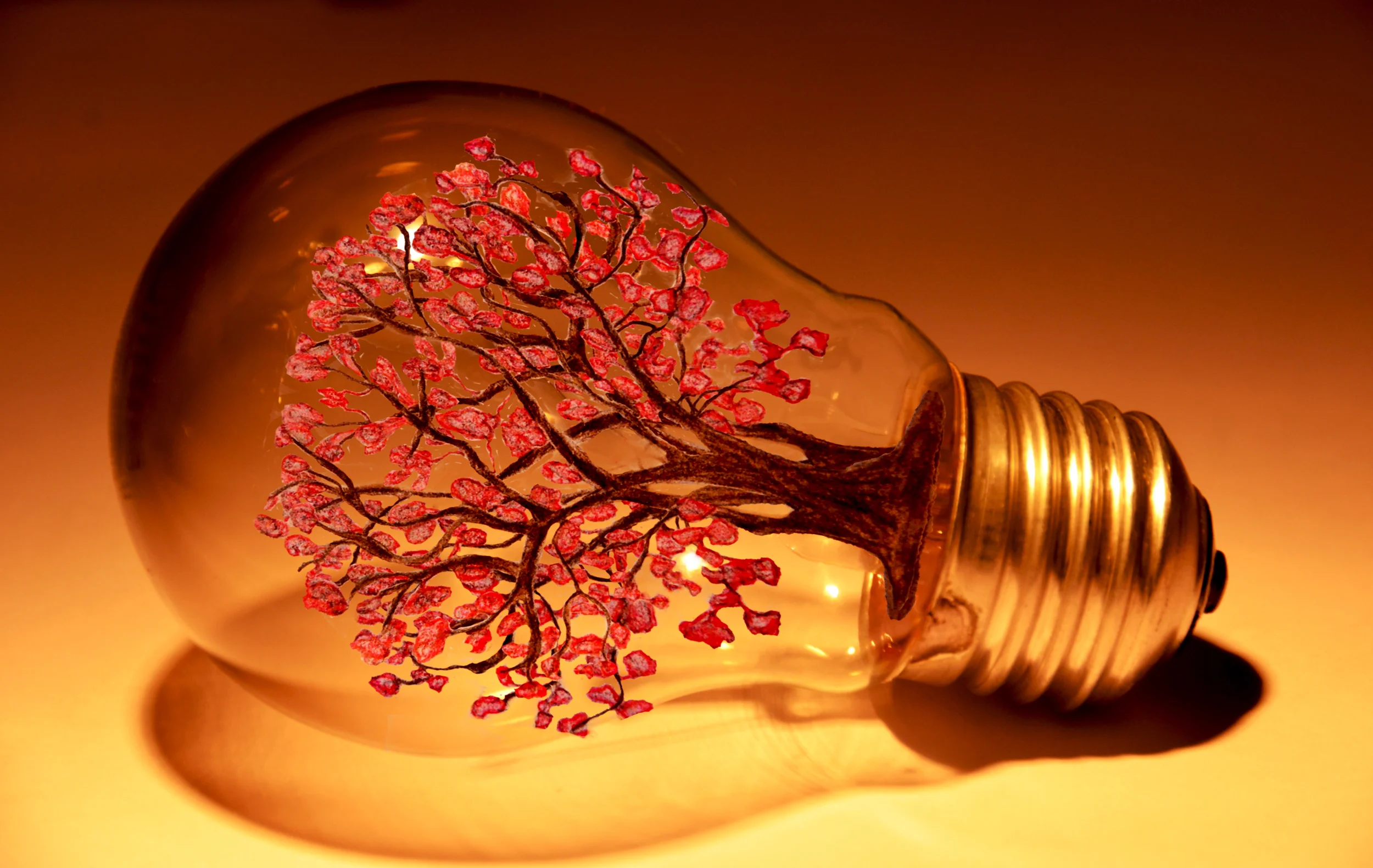 Stuck+in+the+bulb.jpg