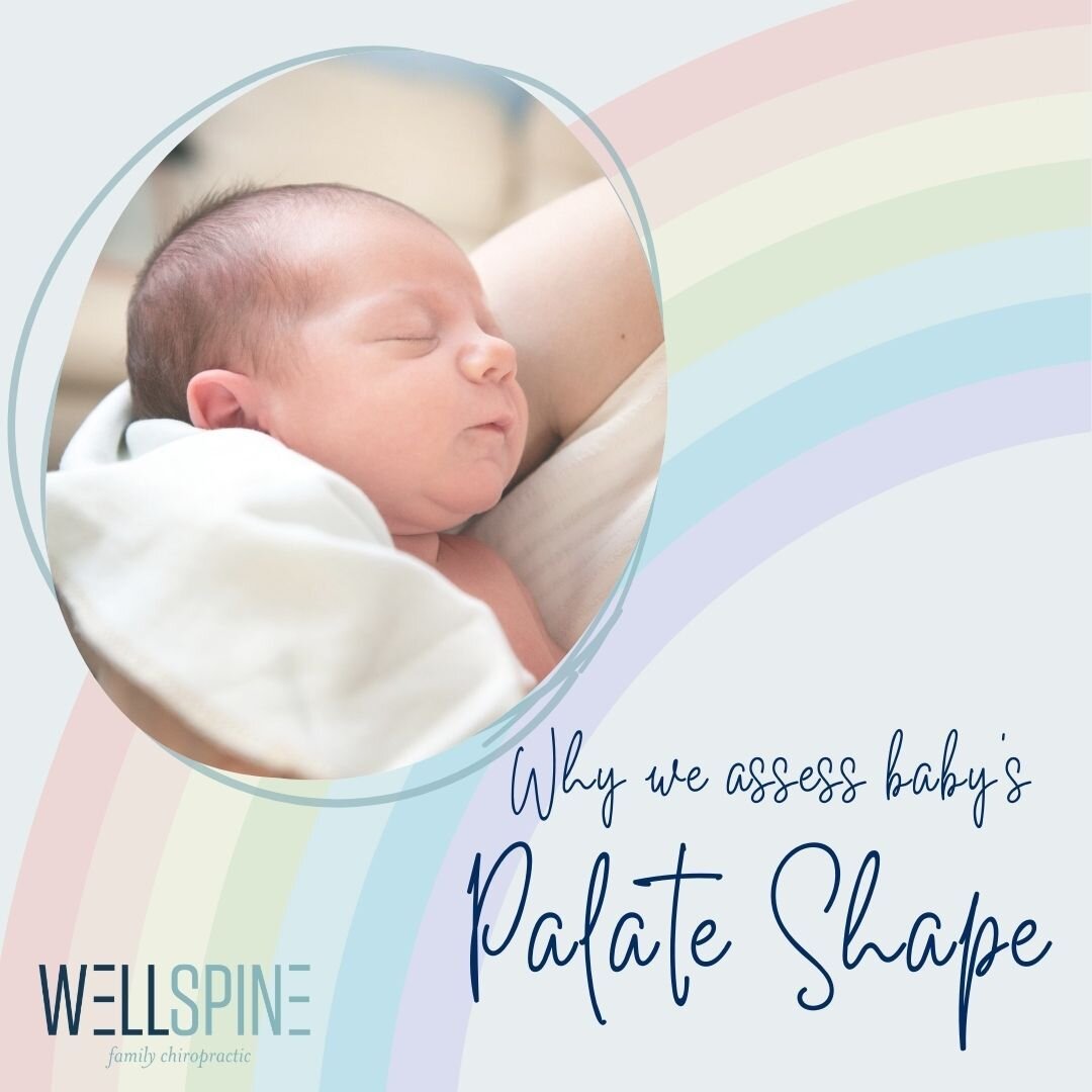 🌈 Let's discuss why we assess baby's palate shape at our visits! 🍼✨

Have you ever wondered why we peek into those adorable little mouths? 👀 It's not just about capturing cute baby smiles &ndash; it's about setting the stage for a future of health