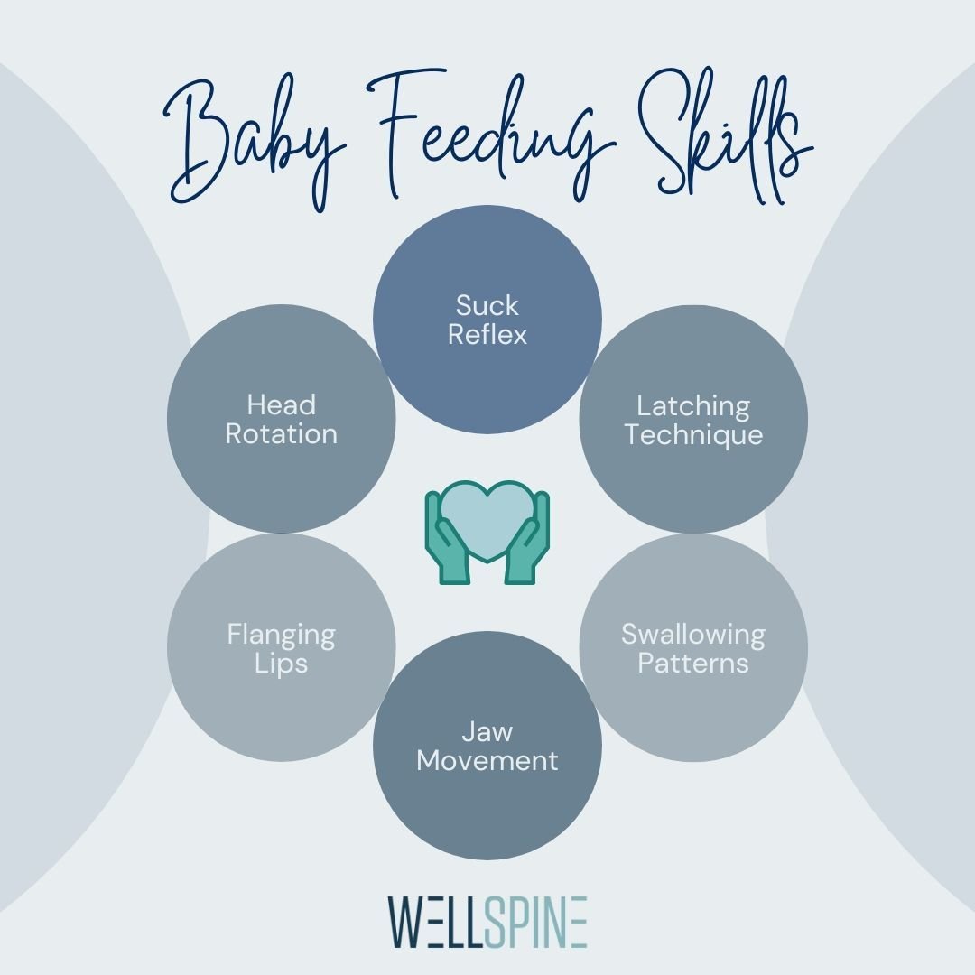 Breastfeeding success isn't just about mom's experience, but also about baby's developmental feeding skills. Let's take a closer look at some key milestones your little one achieves along their feeding journey! 👶💕

Suck Reflex: From the moment they