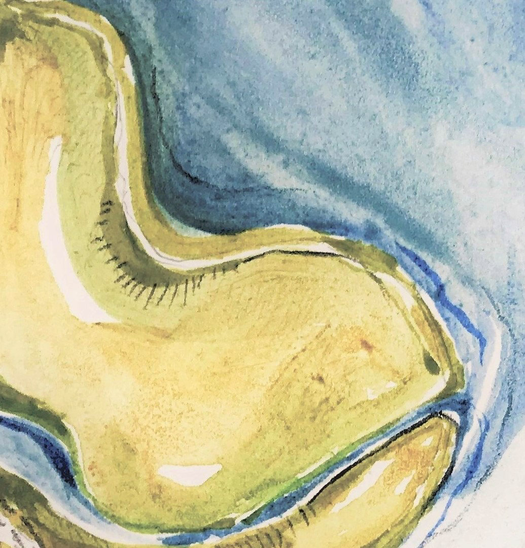 01.Water-Ways-I.-Watercolor-and-pencil-on-paper.-8x8.-detail-I.jpg