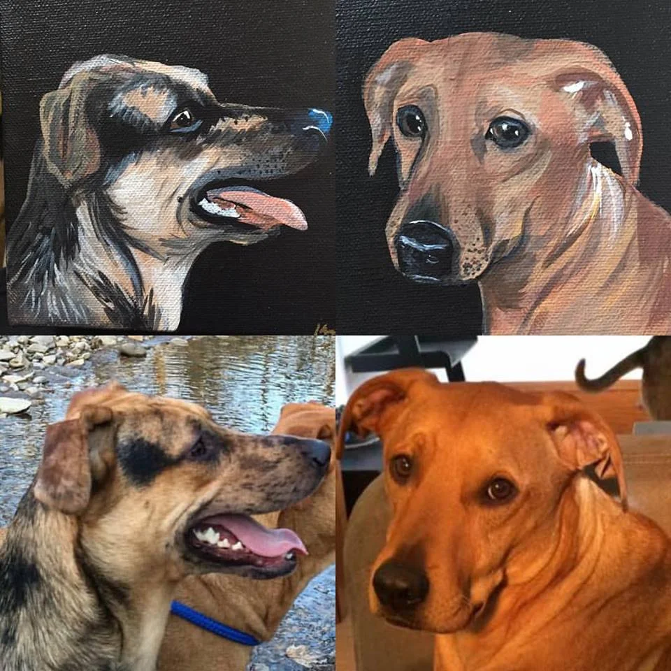 some dog portraits I did for a friend's sister, the dog on the right was challenging with such short fur and all one tone but I am happy with how they came out