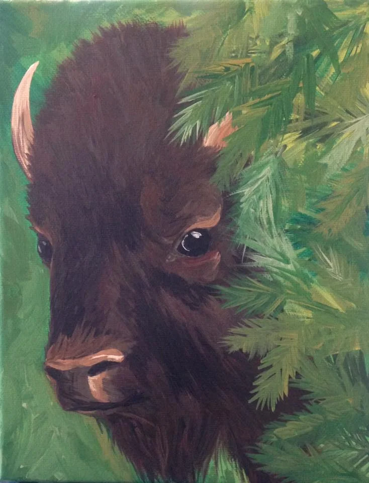 spruce bison