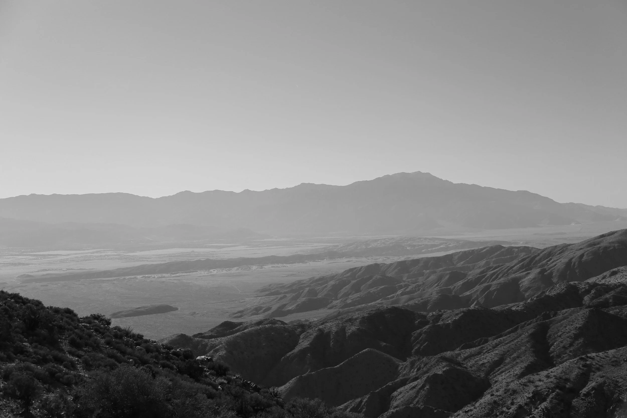 Joshua Tree .jpg