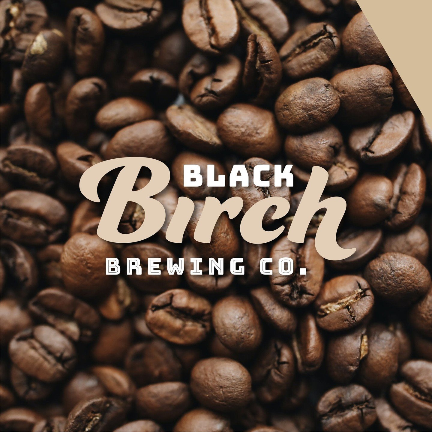 Logo &amp; Can Design |  Black Birch Brewing Co.⁠
Some days I just need a little extra coffee. For you coffee lovers, we have the Ground Up Coffee Stout. The warm and rich can design matches the beautiful color of this beer. Whimsical fonts paired to