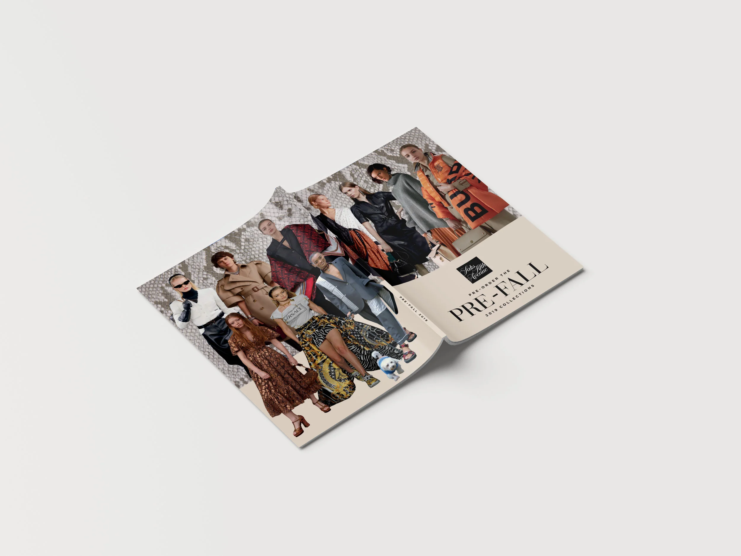 FallPreOrder19BookCover.jpg