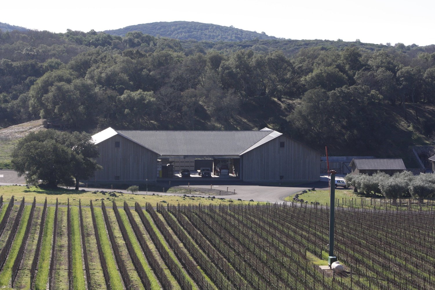 Kenzo Estate White Winery — MH Architects