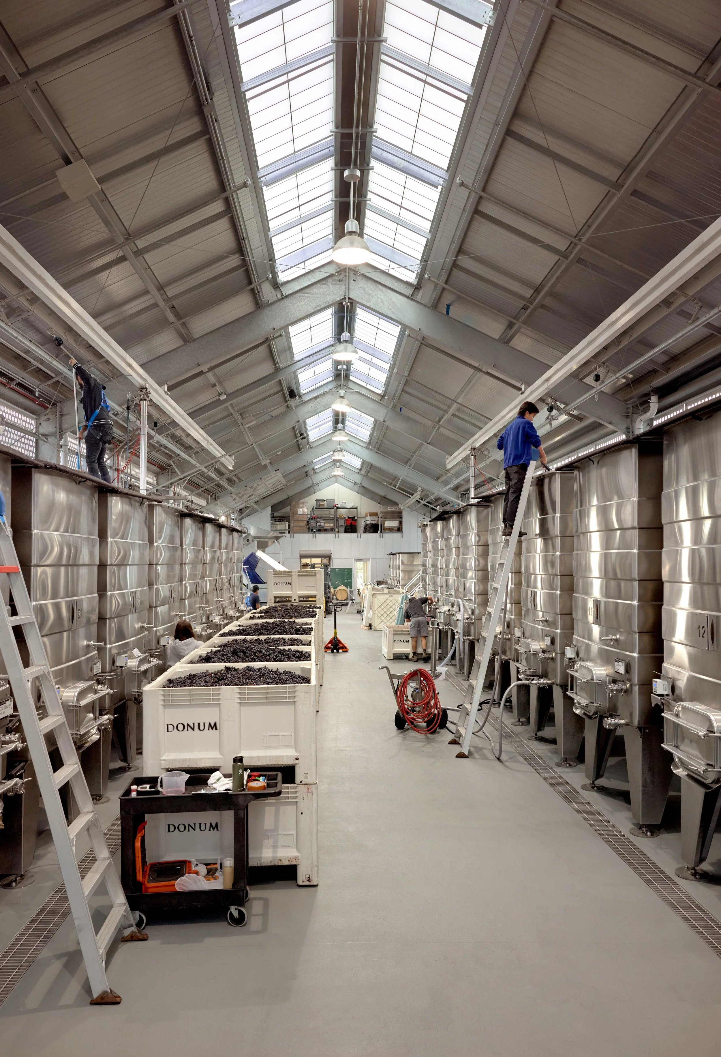 Donum_Winery_9999_1145.jpg