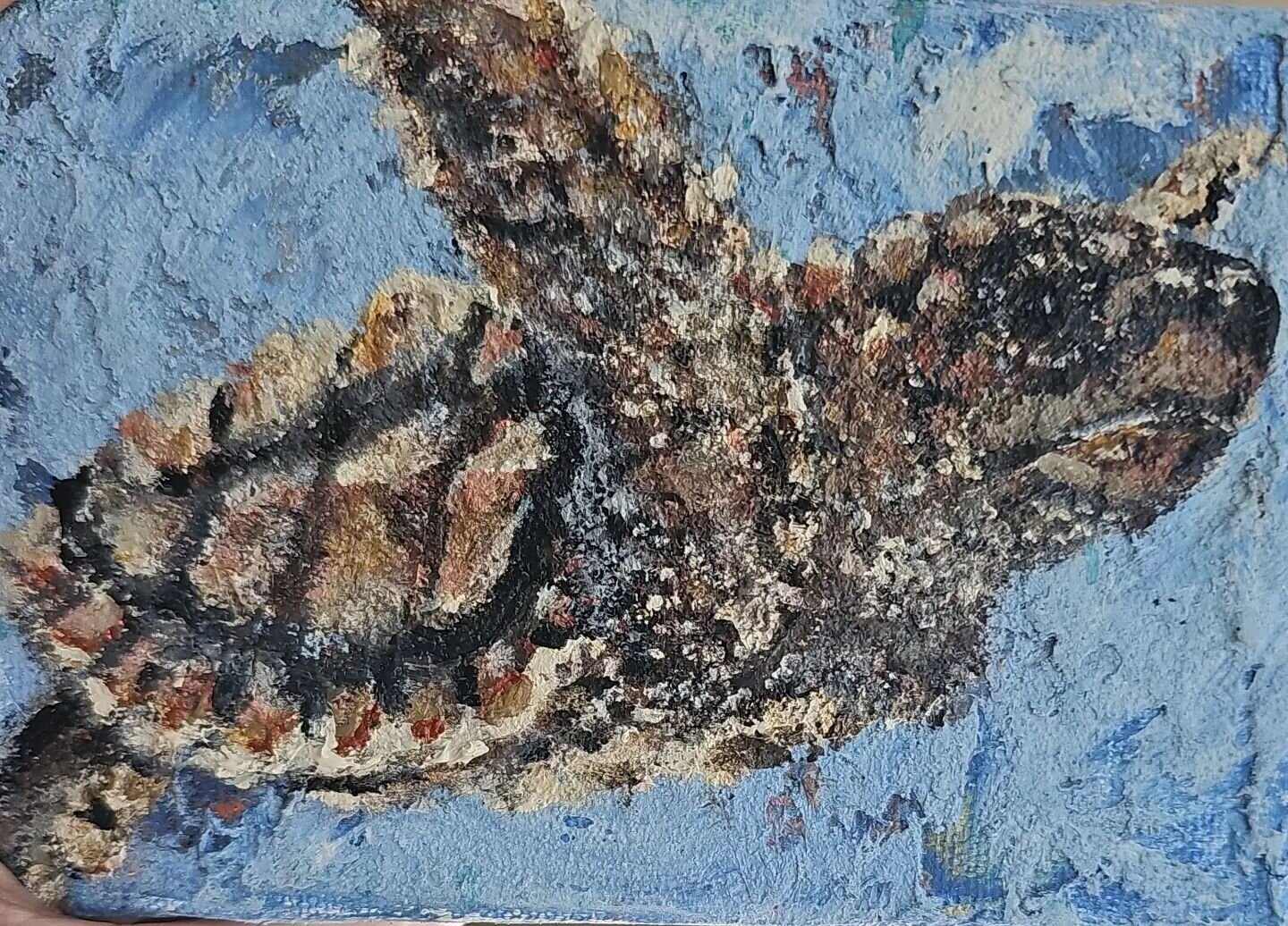 little sea turtle painting I did recently #art #coastalartist #heavytextureartwork #floridaartist #commissionart