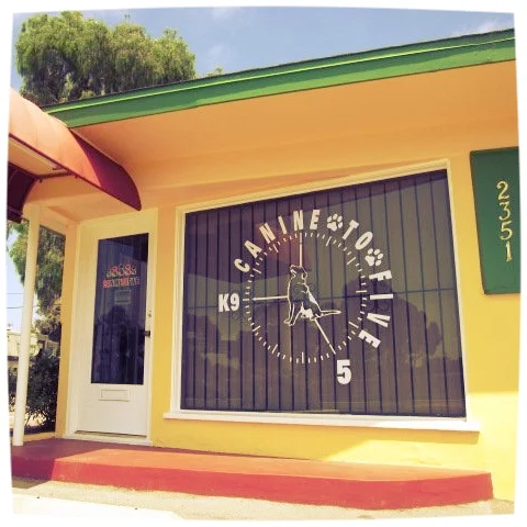 front_door.jpg