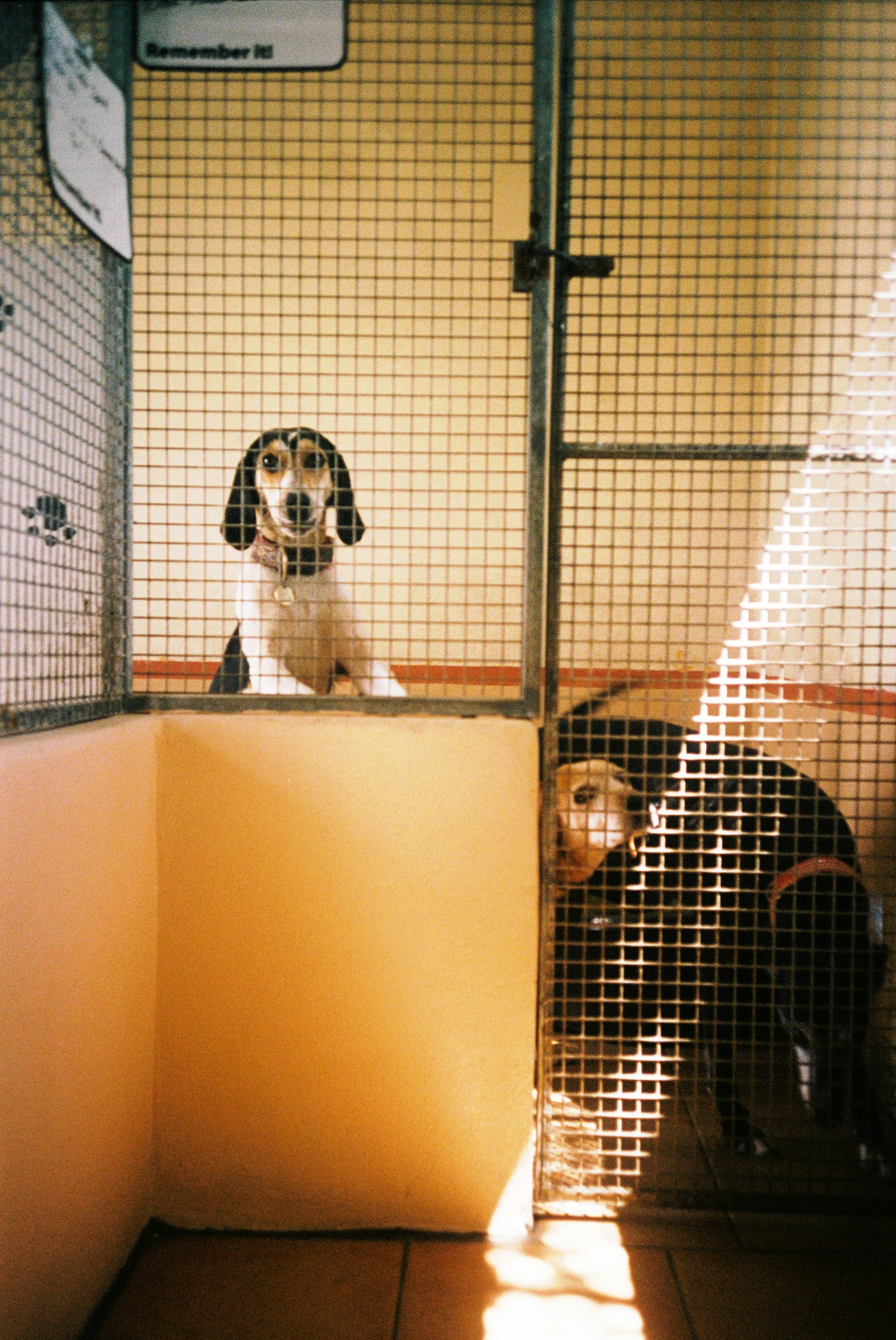 TAKE ME HOME 003.jpg