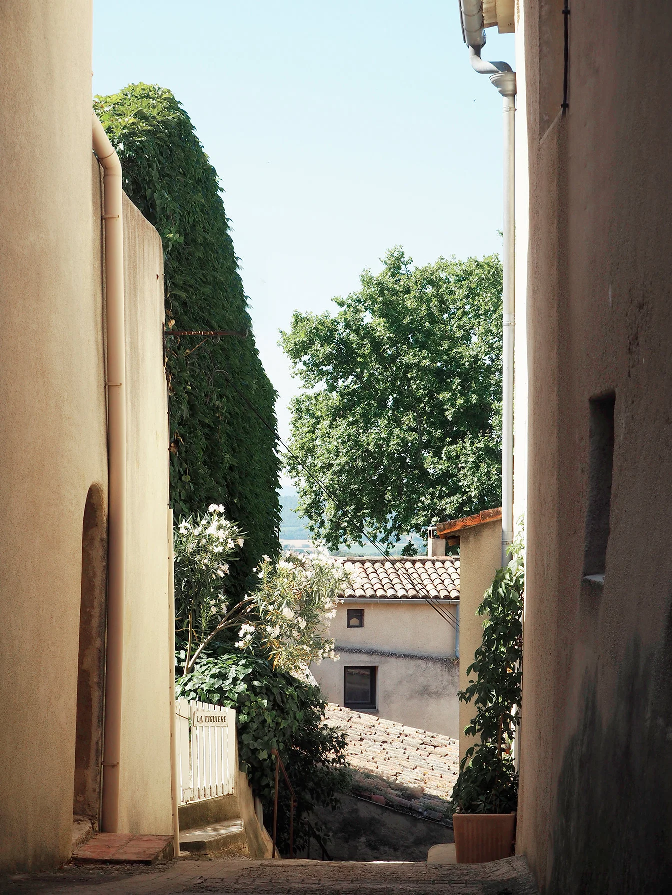 Trowell_Olivia_South_of_France_24.jpg