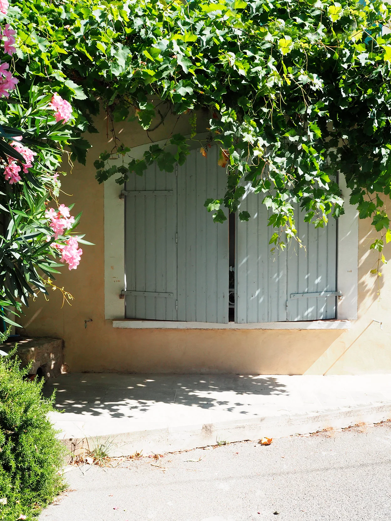 Trowell_Olivia_South_of_France_25.jpg