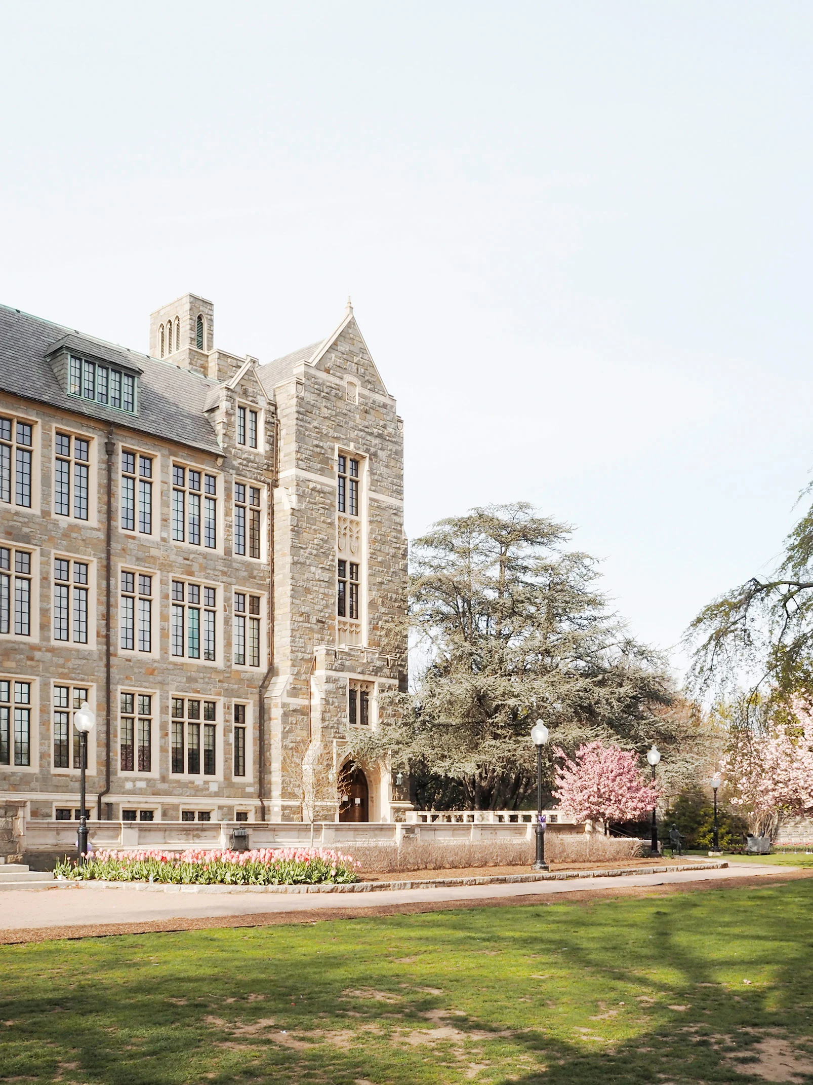Georgetown University, D.C