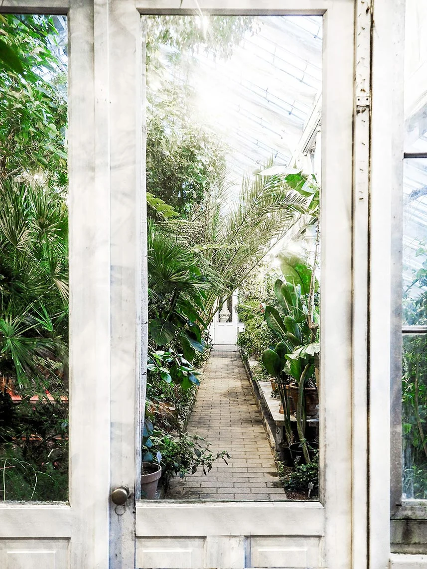 The University of Copenhagen Botanical Garden