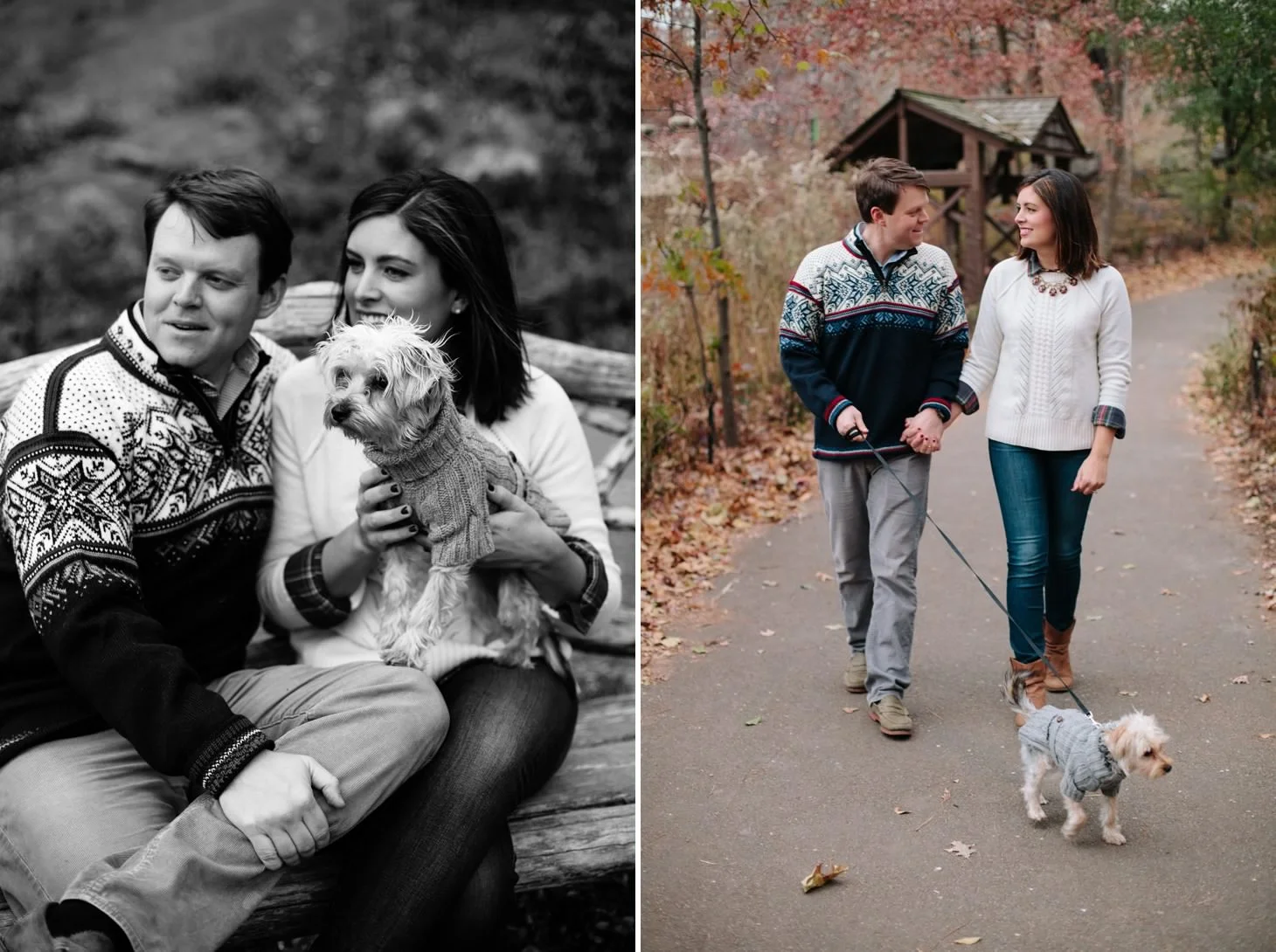 021-nyc-wedding-photographer-puppy-holiday-mini-session-fall-central-park.jpg