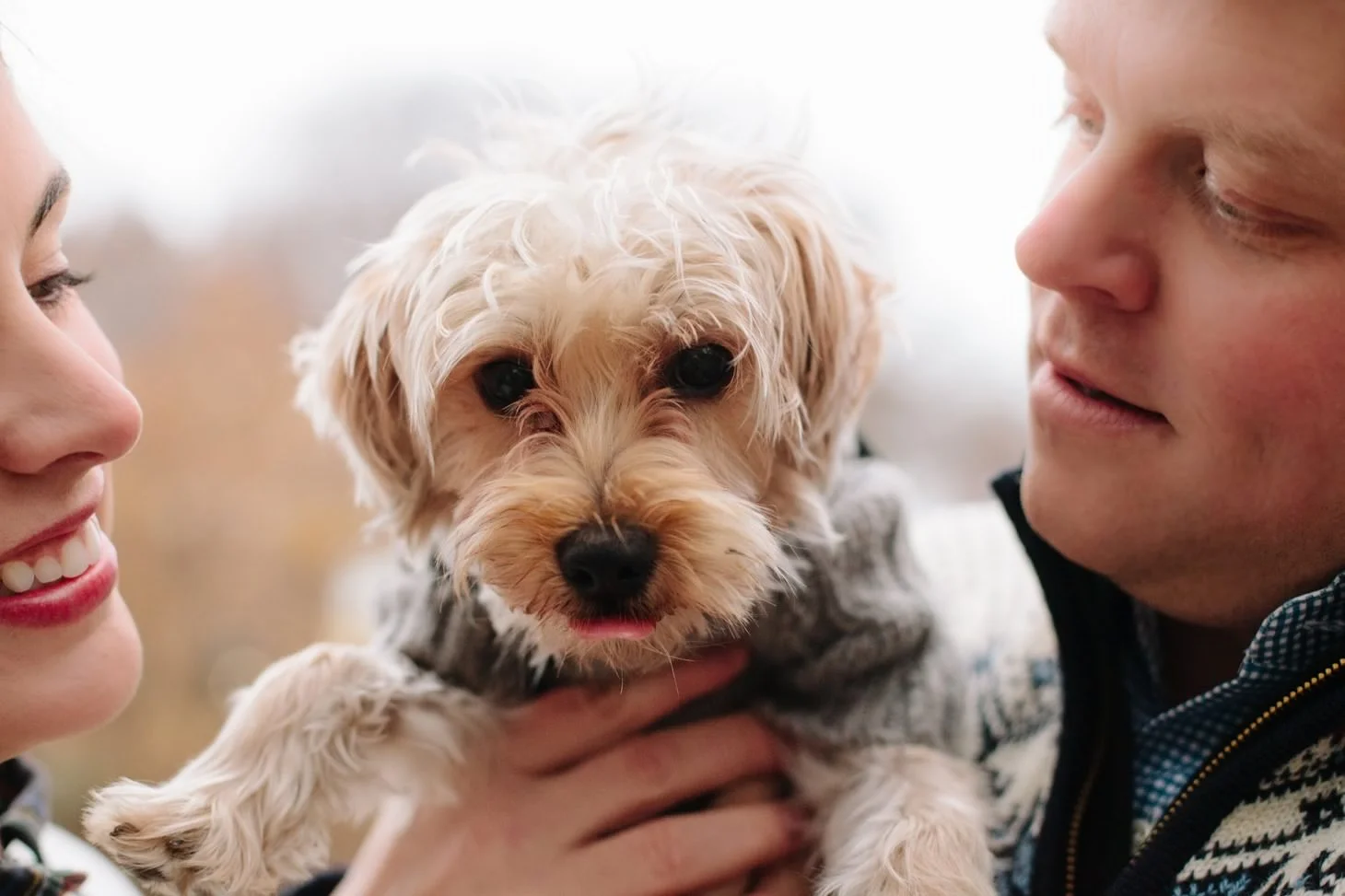 024-nyc-wedding-photographer-puppy-holiday-mini-session-fall-central-park.jpg