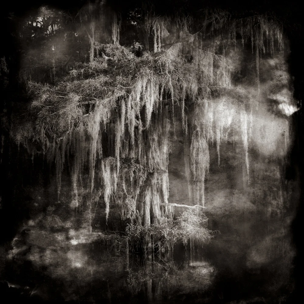 Exhibition Review: Keith Carter | Ghostlight — Musée Magazine