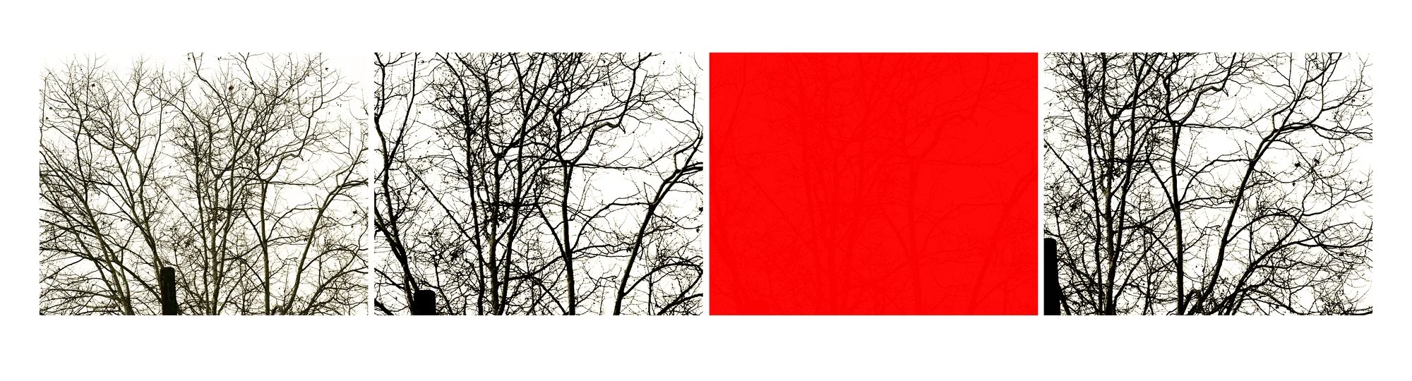 Uta Barth 写真集 White Blind (Bright Red) uta barth | white blind (bright red) 2002
